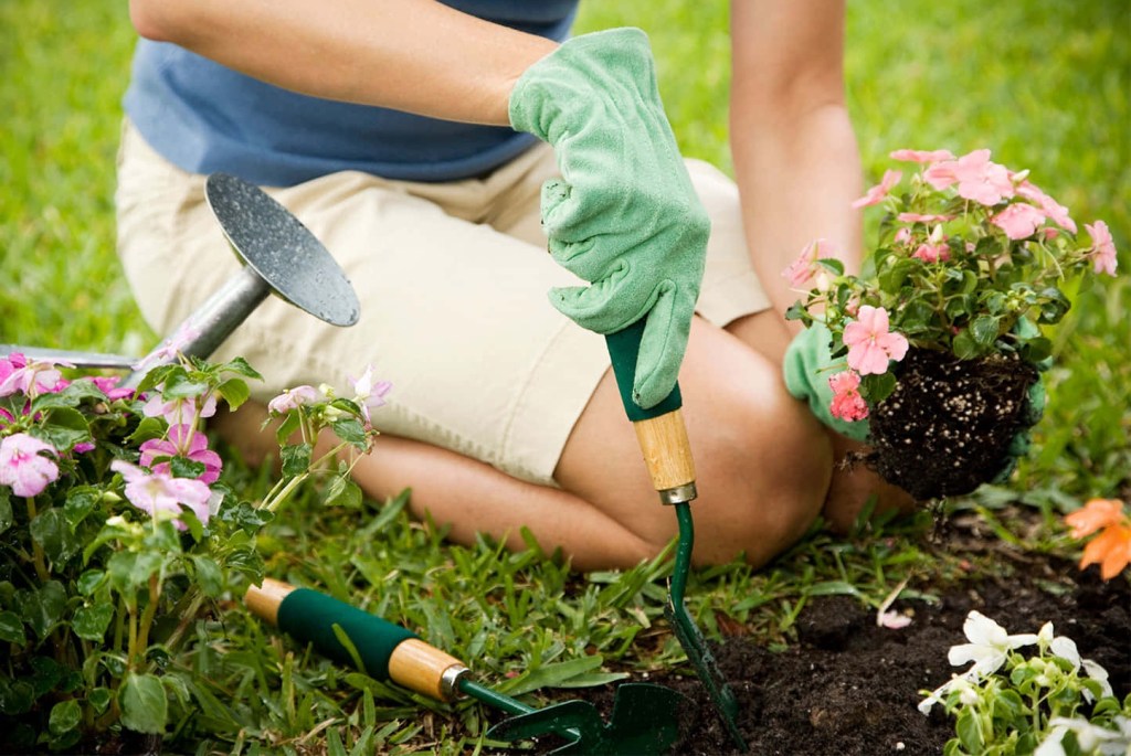 Il Significato attribuito ai&nbsp;Fiori